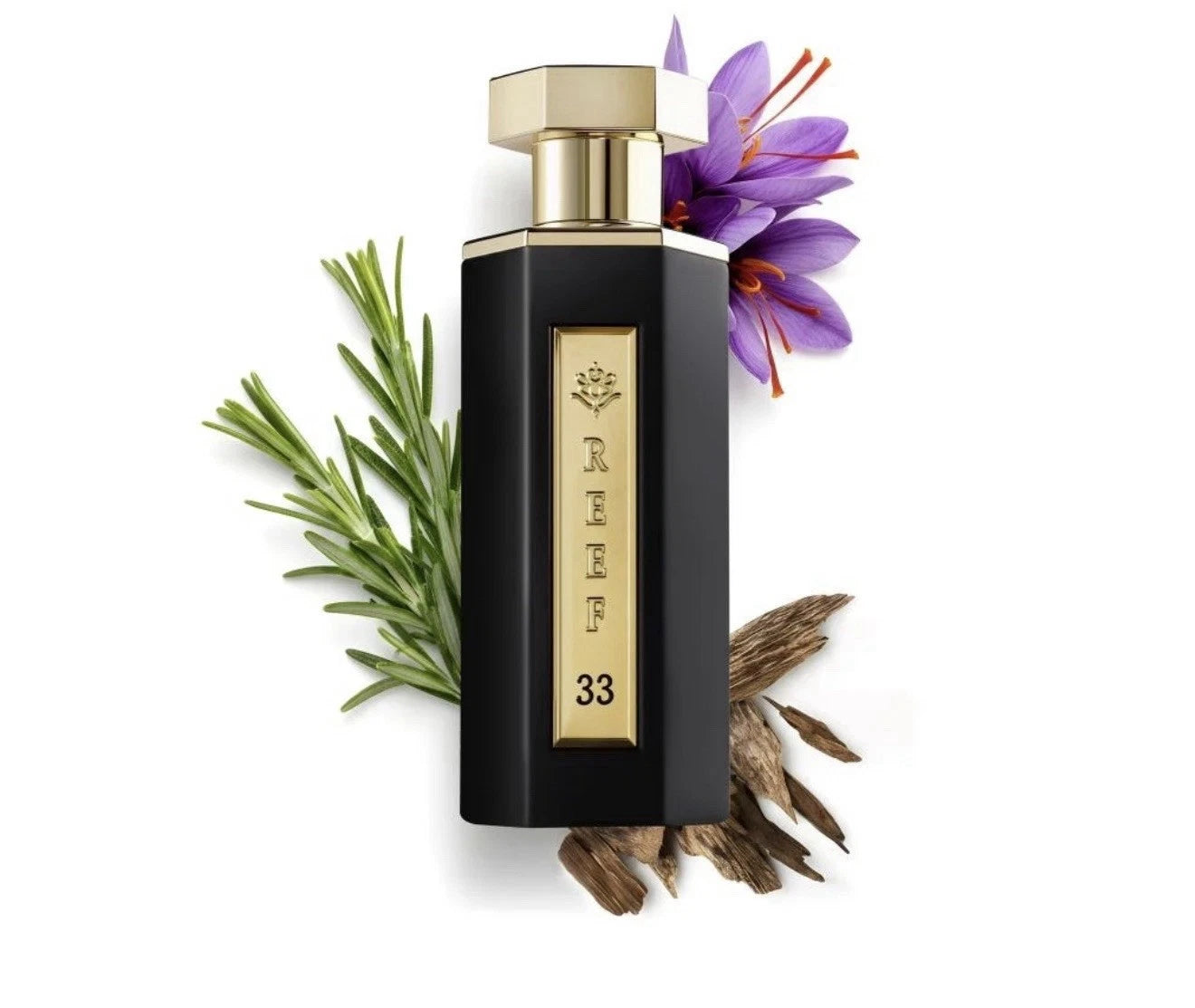REEF 33 EDP 100ml Classic Perfume
